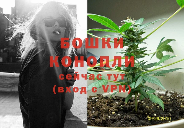 МДПВ Горняк