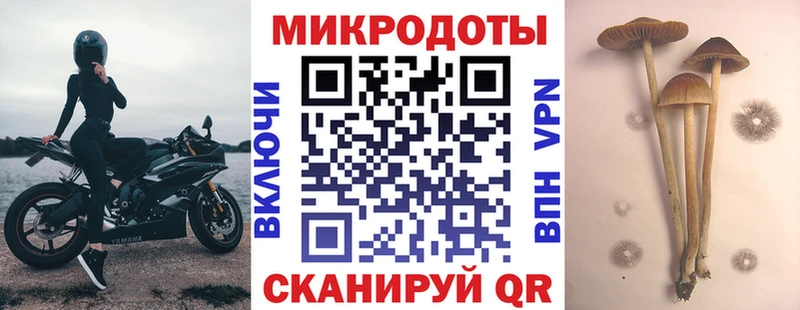 Галлюциногенные грибы Psilocybe  хочу наркоту  Воронеж 